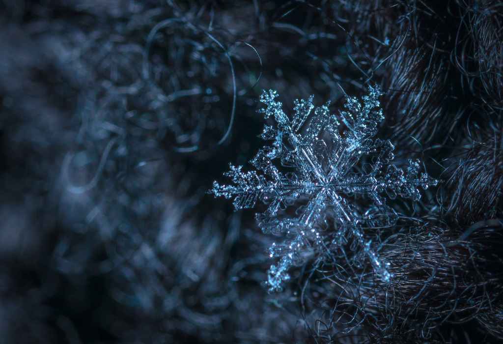 macro photography of snowflake